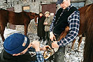 Bild: Kirsten Tackmann besucht Hufbehandler auf einem Pferdehof.