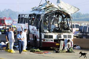 Polizisten untersuchen nach einem Anschlag das Wrack eines Busses nahe Haifa.