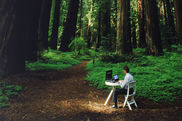 Mann arbeitet mit einem Laptop im Wald