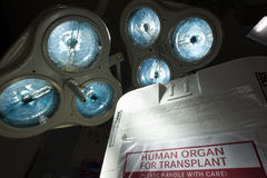 Kühlbox für Organe in einem OP