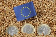 Symbolbild mit EU-Flagge, Eurostücken und Körnern - Video ansehen... - Öffnet neues Fenster