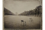 Jardin des Tuileries I (Serie Paris im Licht)