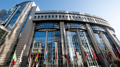Der Deutsche Bundestag arbeitet mit dem Europäischen Parlament zusammen.