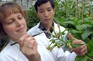 Der Zugang zu Genen von Pflanzen mit besonderen Eigenschaften soll geregelt werden.