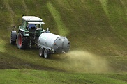 Die Stickstoffeinträge durch landwirtschaftliche Betriebe belasten die Umwelt.