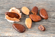 Geröstete Kakaosamen (Kakaobohnen) und frische Samen mit Fruchtfleisch auf Holz