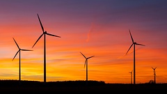 Wettbewerb um die Förderung zur Erzeugung erneuerbarer Energien soll den Öko-Strom günstiger werden lassen.