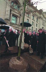 Beim Pflanzen: Staatssekretär Dr. Frank Walter Steinmeier, der Berliner Senator Peter Strieder und Wolfgang Thierse (von links).