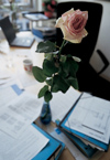 Rose auf dem Schreibtisch