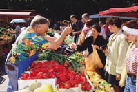 Berliner Szene: Wochenmarkt auf dem Winterfeldtplatz im Bezirk Schöneberg