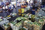 Bild: Ursula Heinen zwischen Gemüsekisten in einem Großmarkt