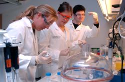 Frauen in weißen Kitteln im Labor