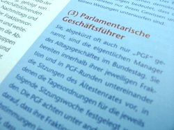 Parlamentarische Geschäftsführer