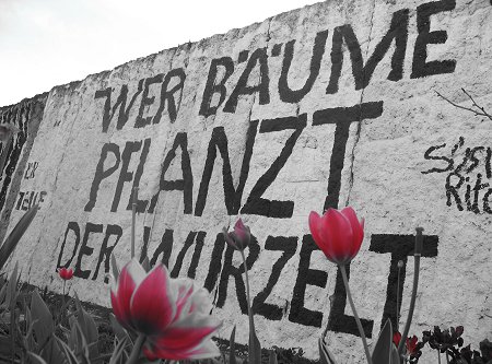 Eine Mauer mit einer Aufschrift: Wer Bäume pflanzt, der wurzelt.