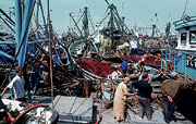 Hafen mit Fischerbooten in Marokko.