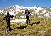 Grasski auf über 2.000 Meter Höhe. Mit Schneemangel hatten in diesem Winter viele Wintersportorte in den Alpen zu kämpfen.
