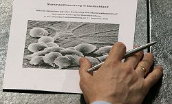 Papier mit dem Arbeitstitel "Stammzellforschung in Deutschland. Warum brauchen wir eine Änderung im Stammzellgesetz?", Klick vergrößert Bild