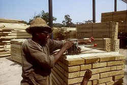 Lagerarbeiter beim Schnittholzpacken in einem Sägewerk in Ghana, Klick vergrößert Bild