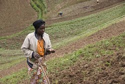 Bäuerin in Afrika beim Sähen, Klick vergrößert Bild