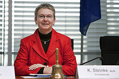 Kersten Steinke (Die Linke)