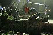 In Wanne-Eickel zersägen THW-Einsatzkräfte nach einem Sommer-Unwetter mit der Motorsäge einen auf der Straße liegenden Baum