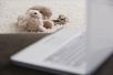 Teddy und Laptop
