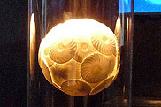 Coccolithophorid