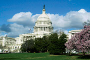 Das US-Capitol in Washington, D. C.