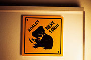 Bild: Gelbes Schild mit einem schwarzen Koalabären und der Aufschrift: Koalas next 10 km.