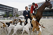 Bild: Tierisches Vergnügen: Ministerpräsident Wulff bei der Pferdeschau.