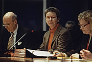 Bild: Petitionsausschussvorsitzende Kersten Naumann (Die Linke.).