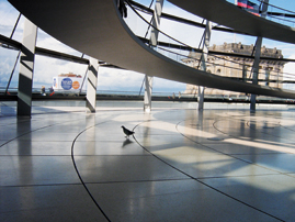 Eine Taube unter der Reichstagskuppel.