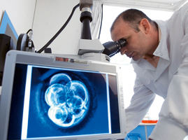 Ein Forscher begutachtet Zellen unter Mikroskop, die auf einem Bildschirm gezeigt werden.