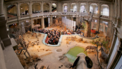 Feierstunde des Bundestages im Lichthof des Bonner Museums Alexander Koenig, im Vordergrund ausgestopfte Tiere
