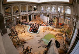 Feierstunde des Bundestages im Lichthof des Bonner Museums Alexander Koenig, im Vordergrund ausgestopfte Tiere