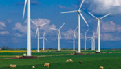 Die Windräder symbolisieren das Nationale Klimaschutzprogramm der Bundesregierung