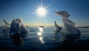 Schmelzendes Eis im Polarmeer, im Hintergrund grelles Sonnenlicht