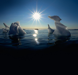 Schmelzendes Eis im Polarmeer, im Hintergrund grelles Sonnenlicht