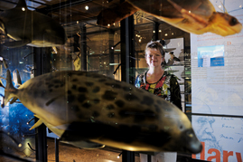 Mechthild Rawert vor dem Modell eines Seehundes in der Ausstellung „Evolution in Aktion” im Museum für Naturkunde Berlin