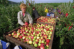 Landwirtschaft