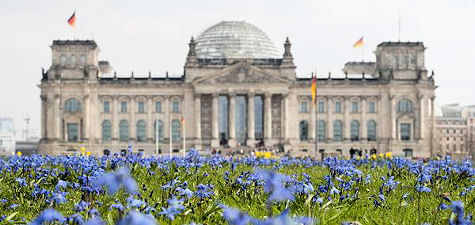 Blumen vor dem Platz der Republik mit Reichstag im Hintergrund