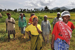 Bauern in Kwemazandu