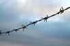 Stacheldraht vor blauem Himmel