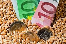 Die Reform der EU-Subventionsmittel ist Thema im Agrarausschuss.