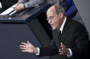 Gregor Gysi (DIE LINKE.) 