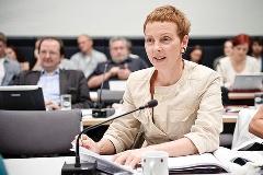 Sabine Leidig (Die Linke.)