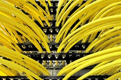 Netzwerkkabel in einem Serverraum in Berlin