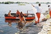 Mitarbeiter der Deutschen Lebensrettungsgesellschaft DLRG bedecken den im Wasser liegenden Teil des Deiches mit Folien. Infolge andauernder starker Regenfälle ist es zu einer Hochwasserkatastrophe an der Oder gekommen.