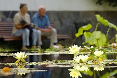 Mitteilungen für die spätere Rente sollen vereinfacht werden.