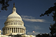 Das Kapitol in Washington ist Sitz des Kongresses.